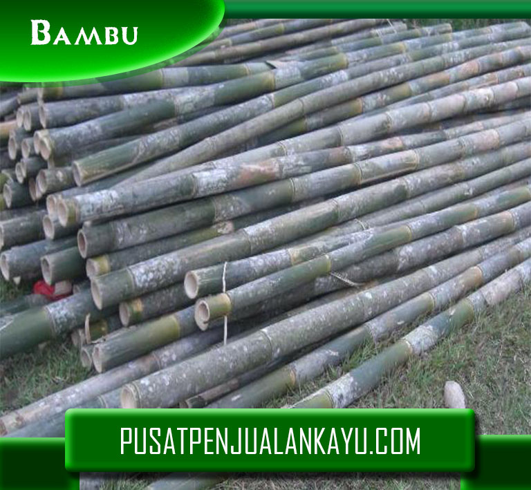 Bambu_Jual Bambu Berkualitas Murah Tercepercaya.jpg